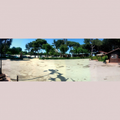 David Allen Wizardgolds Posts