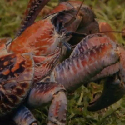 David Allen Wizardgolds Posts