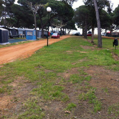 David Allen Wizardgolds Posts