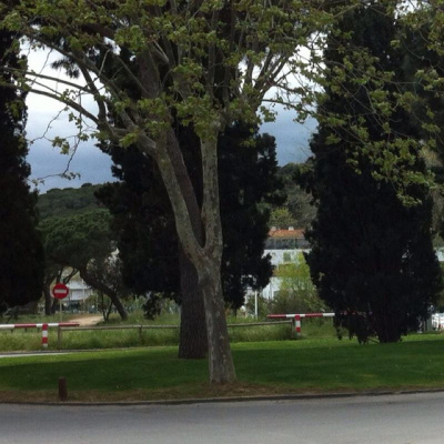 David Allen Wizardgolds Posts