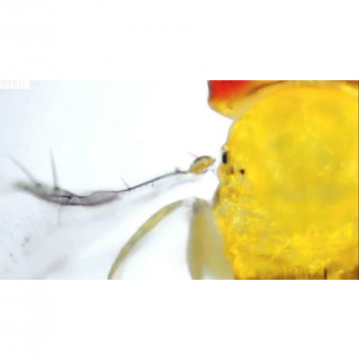 David Allen Wizardgolds Posts