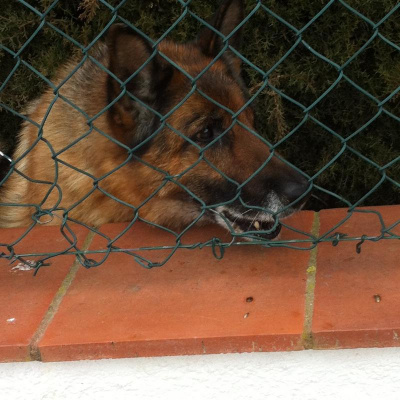 David Allen Wizardgolds Posts