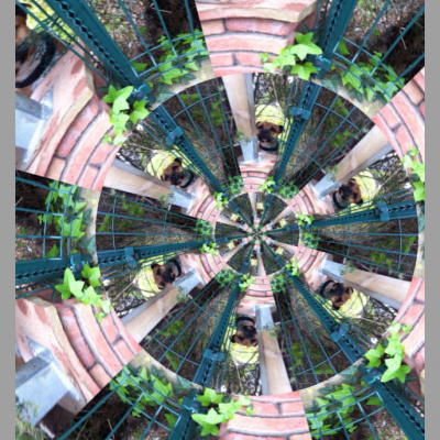 David Allen Wizardgolds Posts