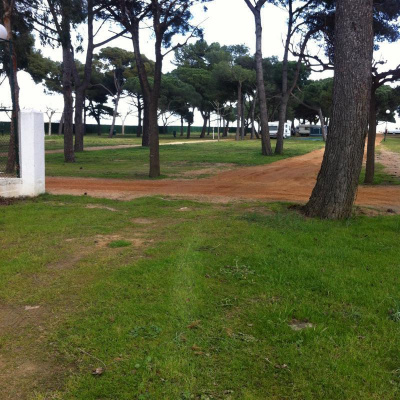 David Allen Wizardgolds Posts