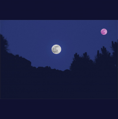 David Allen Wizardgolds Posts