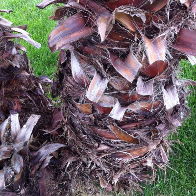 David Allen Wizardgolds Posts