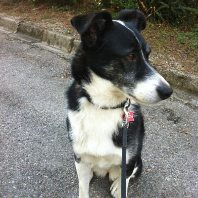 David Allen Wizardgolds Posts