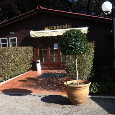 David Allen Wizardgolds Posts