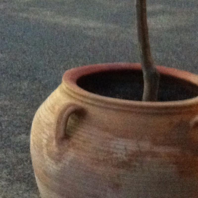 David Allen Wizardgolds Posts