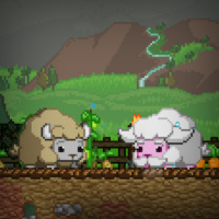 #45 - The Programmer Duck