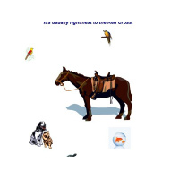 Holistic Petcare w/ Dr. O: Karen Sable of Animal Disaster Services