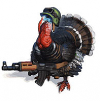 DVD Verdict 1551 - The Friday Filibuster (An Early Black Friday)