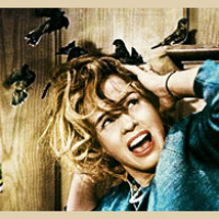 DVD Verdict 1536 - Entertainment Docket for Week of October 6