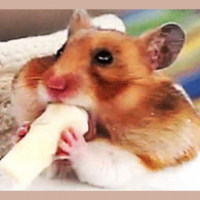 DVD Verdict 1552 - Entertainment Docket for Week of November 24