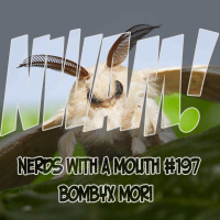 Nerds With a Mouth #197 - Bombyx mori