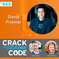 423: David Priemer, The Sales Experience