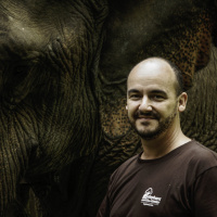 Tune In For This Report From The Front Lines Of Elephant Conservation - Sebastien Duffillot - #625