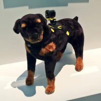 Giant Bombcast 01/07/2014 [PREMIUM]