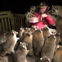 Giant Bombcast 681: Dairy Queen, TX