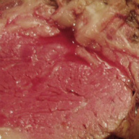 Giant Bombcast 12-07-2010