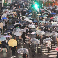 Giant Bombcast 523: Realistic Wad of Flesh (Premium)