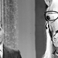 Giant Bombcast 539: Summer Dump Zone (Premium)