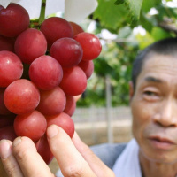 Giant Bombcast 652: Gods and Monster Energy