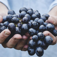 Giant Bombcast 749: Software Plus Art