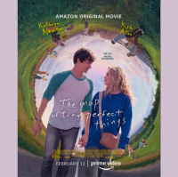 Review of The Map of Tiny Perfect Things