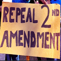 Captain Phil interviews Paul Levinson about what must be done about the slaughter of children in America by AR15s