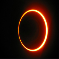 Solar Eclipse, Politics, Online Learning, Origin of Covid, More