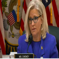 Captain Phil interviews Paul Levinson about the House Jan 6 Hearings