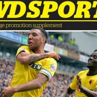 SHORT - Kevin Affleck - WD Sports