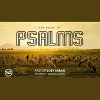 Psalm 127-134 | Verse by Verse - Audio