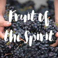 Fruit of the Spirit: Goodness  Faithfulness