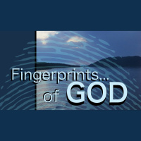 Fingerprints of God #6 - Steadfast Love
