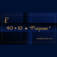 Forty Plus Ten - Week 3: Purpose