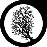 Narrative Lectionary - John 1:35-51 - Micah Witham