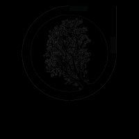 Hope of Glory: Undragoned - Micah Witham