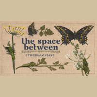 Let the Word Do the Work - Audio