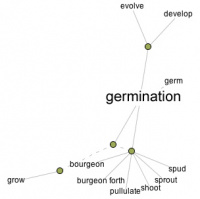 Flought for the day : Germination