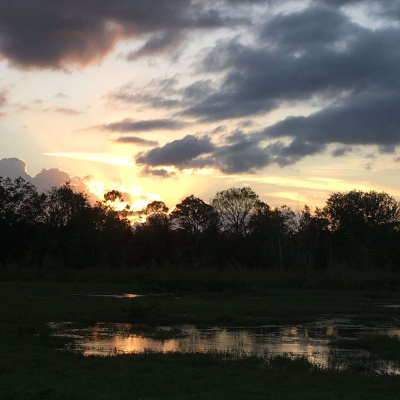 Bfc Sebrings Podcast