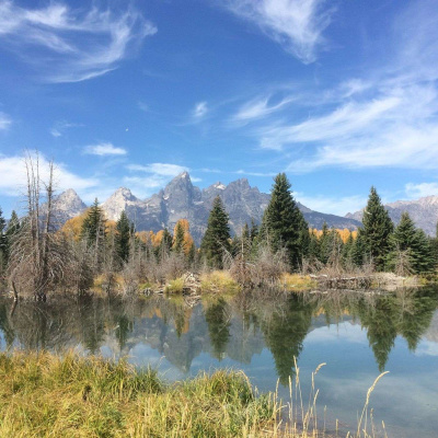 Bfc Sebrings Podcast