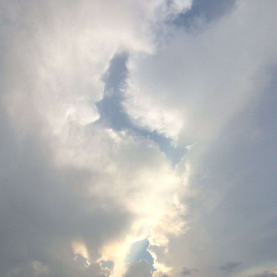 Bfc Sebrings Podcast