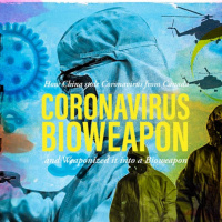 NutriMedical Report Fri Feb 14th ’20 Hr3 SARS DrOttMAGI_SARSDefenseKit