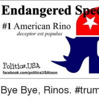 NutriMedical Report Show Tuesday Nov 12th 2019 – Hour Two – Gary Richard Arnold, www.News-Expose.org, List of RINO Republic Trump Hater Opponents that MUST BE REMOVED from OFFICES,