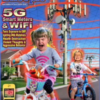 NutriMedical Report Show Monday Nov 11th 2019 – Hour Two – Deborah Tavares, www.STOPtheCrime.net, Latest in Fire-Mah-Geddon Norther California and Eastern Australia NSWales,