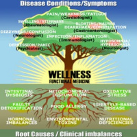 NutriMedical Report Show Tuesday Nov 19th 2019 – Hour One – Ryan Frace, NutriMeds Expert, Dr Bill Deagle MD AAEM ACAM A4M, Protocols from Head to Toe, Advanced Integrative NutriMeds and Healing Tech,