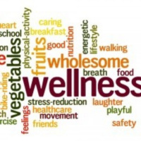 NutriMedical Report Fri Dec 6th ’19 Hour 1 Wellness Protocols Michelle