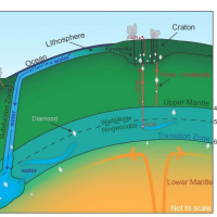 NutriMedical Report Fri Jan 31st ’20 Hr 2 Gaffney Gravity Wave Crustal
